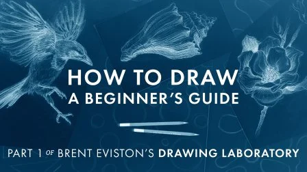 How to Draw: A Beginner’s Guide - Part 1 of The Drawing Laboratory