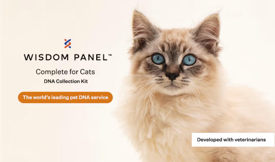 Wisdom Panel™ Complete for Cats DNA Test